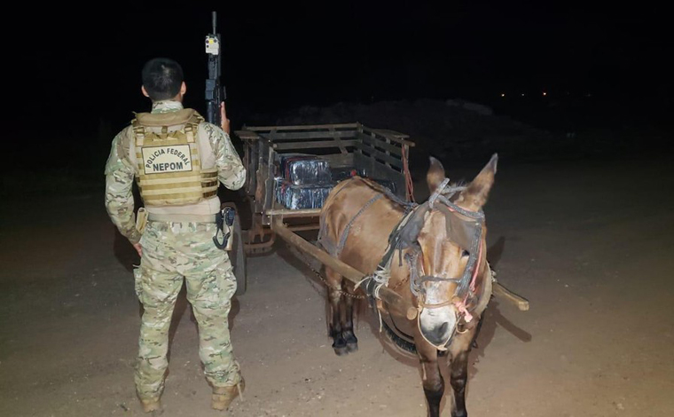 Burro é apreendido transportando cerca de 300 Kg de maconha em uma carroça no Paraná