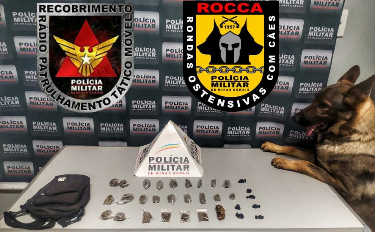 Cadela da Polícia Militar ajuda localizar drogas escondidas em lote vago de Sete Lagoas