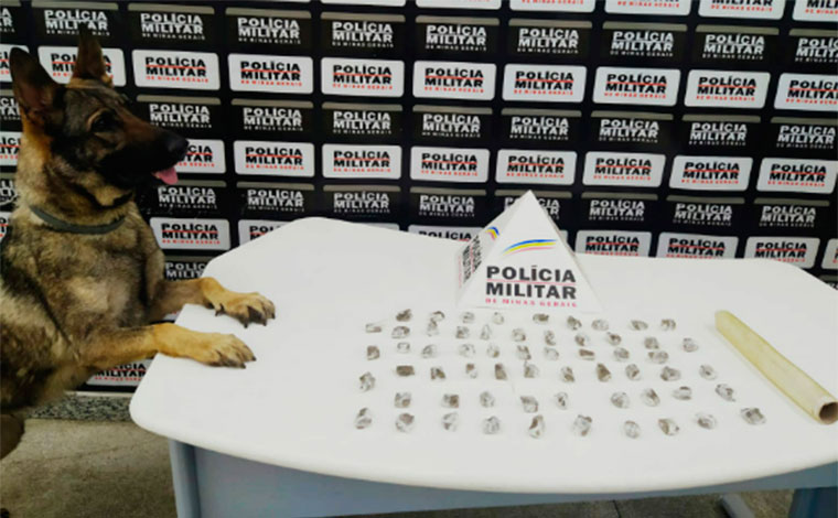 Foto: DivulgaÃ§Ã£o/PMMG - No local informado, os militares realizaram diligencias, e com apoio da cadela de faro foi localizado a quantia de 60 buchas de substÃ¢ncia semelhante Ã  maconha