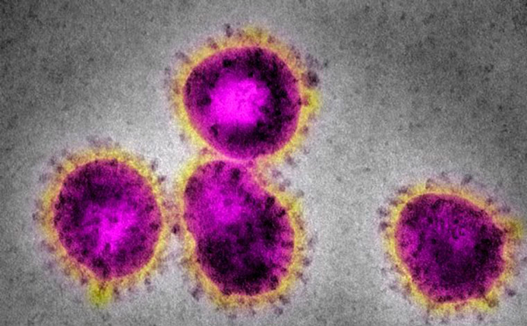 Minas Gerais registra cinco casos da variante Mu do coronavírus, mais resistente a vacina