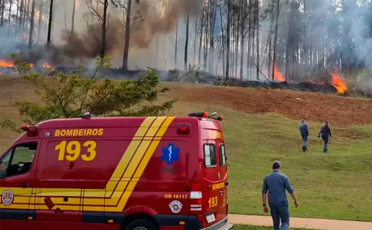 Avião cai e sete pessoas, sendo cinco da mesma família morrem no interior de São Paulo; veja vídeo