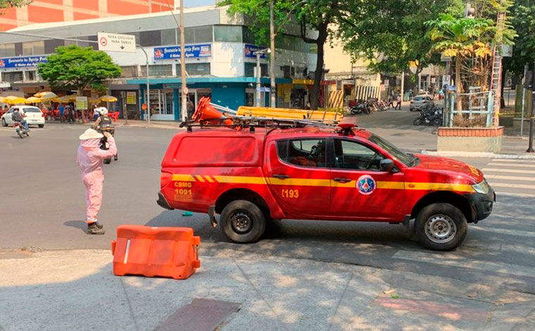 Abelhas atacam pedestres no Centro de Belo Horizonte e mulher precisa ser hospitalizada