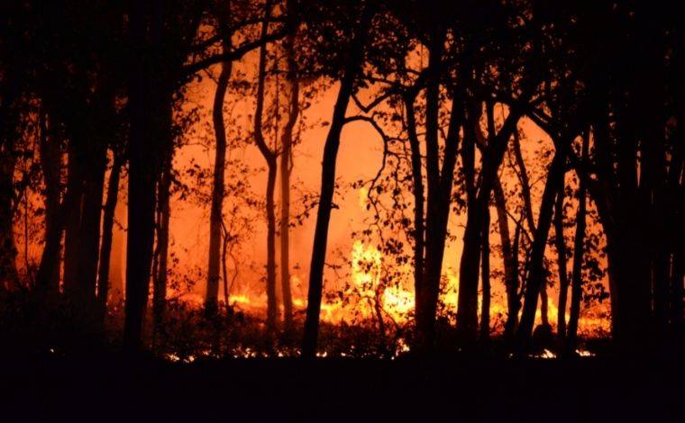 Bombeiros de Minas Gerais atendem a 1.129 chamadas por incêndios em uma semana