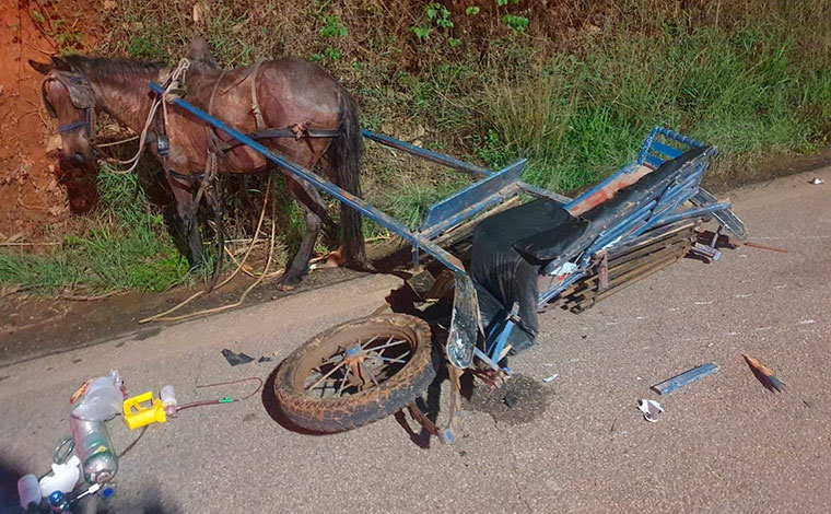 Foto: DivulgaÃ§Ã£o/CBMMG - Duas pessoas que estavam na charrete, sendo o tio e outra crianÃ§a de 10 anos, alÃ©m de duas vÃ­timas que estavam na motocicleta, foram conduzidas atÃ© uma unidade de saÃºde