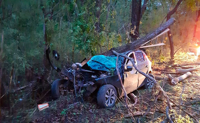 Motorista morre após perder o controle da direção e bater em árvore às margens da BR-135, em MG