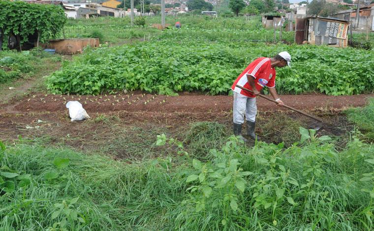 Agricultores de hortas urbanas de Sete Lagoas receberão apoio de parceiros