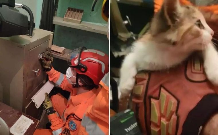 Corpo de Bombeiros resgata gato trancado em cofre por criança de 4 anos na Grande BH