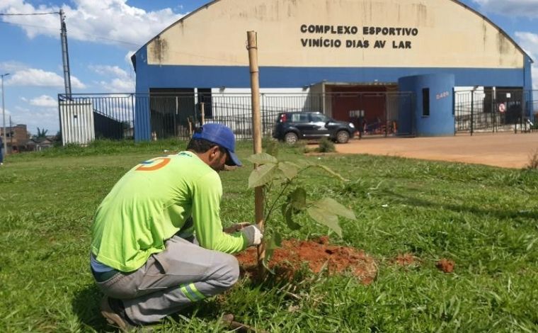 Sete Lagoas realiza plantio de mudas no entorno do Ginásio Vinicio Dias Avelar no bairro Nova Cidade