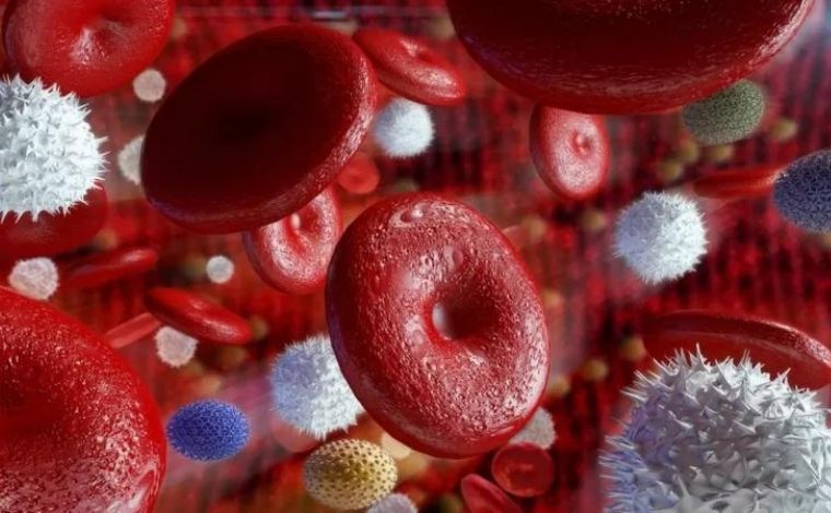 Mulher com HIV é curada após novo tratamento envolvendo sangue de cordão umbilical