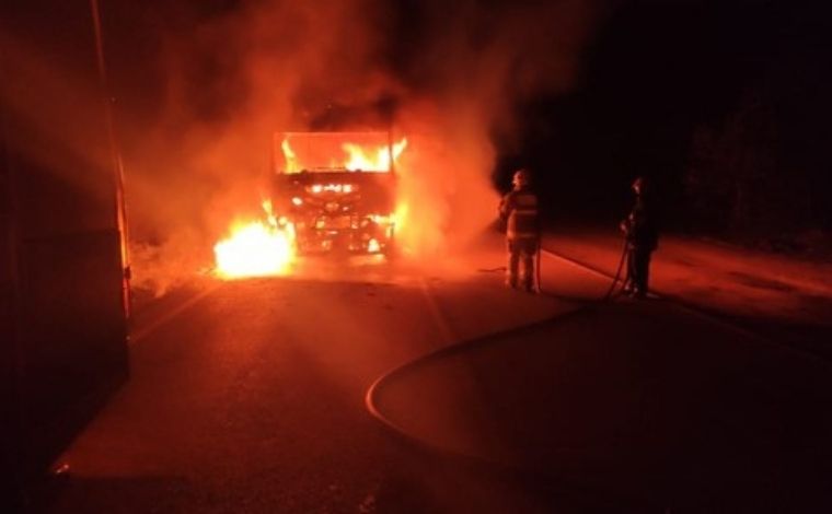 Caminhão carregado com 128 porcos pega fogo na BR-265, em MG; todos os animais morreram