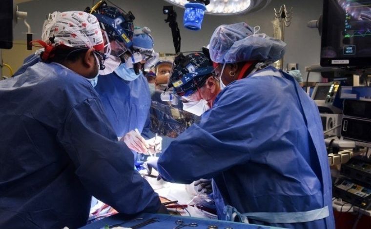 Morre primeiro paciente que recebeu transplante de coração de porco
