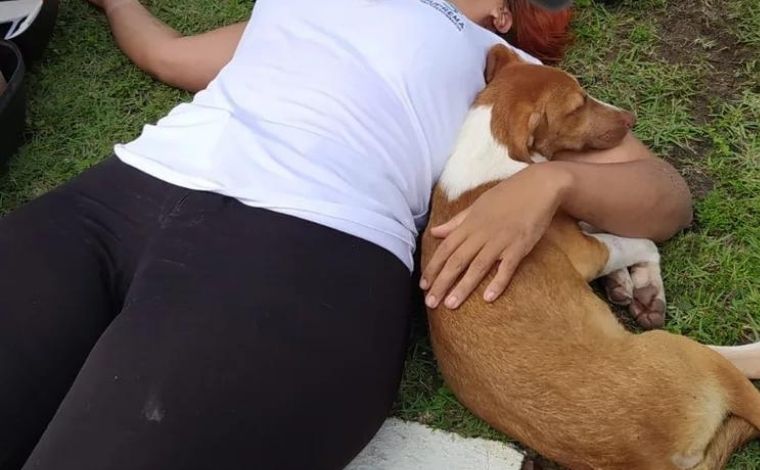 Mulher cai de moto ao desviar de cachorro e animal fica ao lado dela durante socorro