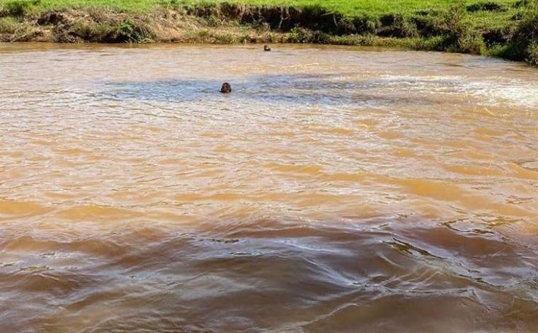 Marido tenta salvar esposa em cachoeira e os dois morrem afogados, em MG