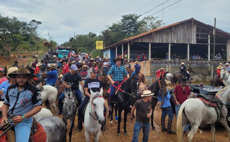 Projeto prevê que validade de exames para cavalos seja estendida para quatro meses 