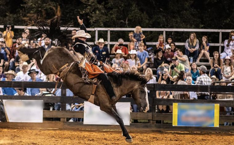 Justiça suspende provas de rodeio com animais em festa de Pedro Leopoldo