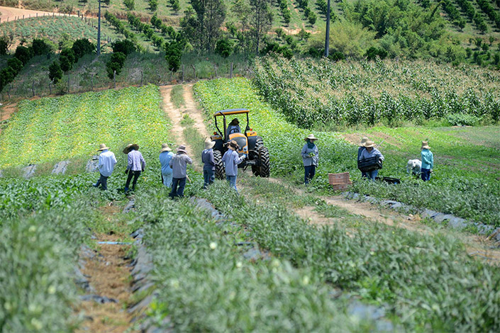 Minas Gerais lidera ranking de contratos do crédito fundiário rural no país