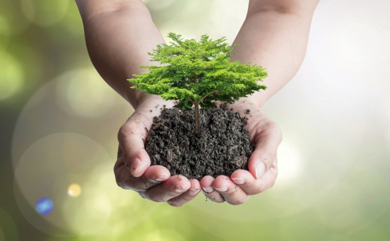 Escola Técnica de Sete Lagoas realizará ação ambiental em comemoração ao Dia da Árvore