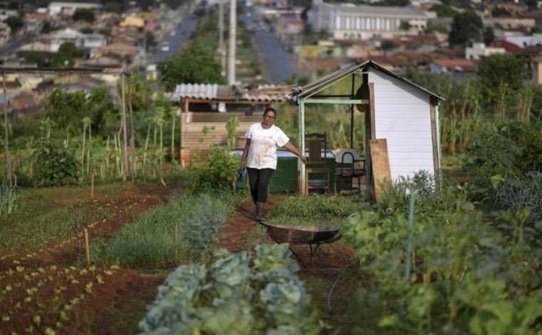 Hortas comunitárias de Sete Lagoas são referências na Embrapa e Ministério da Cidadania