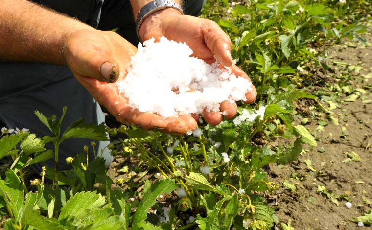 Chuvas de granizo em novembro já atingiram 51 mil hectares de lavouras em Minas Gerais