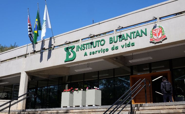 Vacina contra dengue do Butantan alcança 79,6% de eficácia em testes