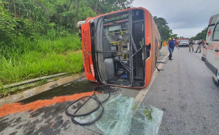 Inseto faz motorista perder controle da direção e tombar ônibus na MG-10, na Grande BH