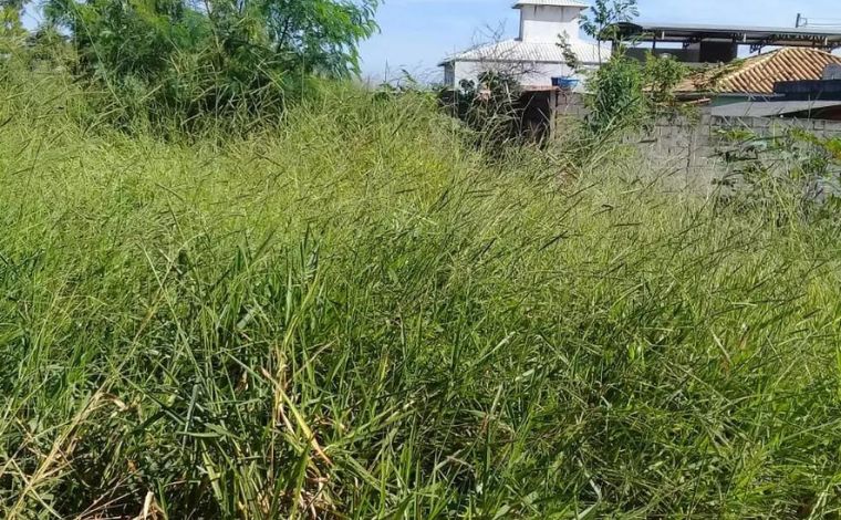 Proprietários de lotes em Sete Lagoas seguem sendo notificados a limpar terreno em até 10 dias