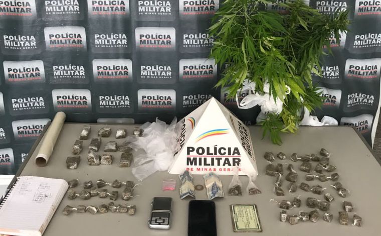 PM apreende cinco pés de maconha e prende suspeito de tráfico de drogas em Sete Lagoas 