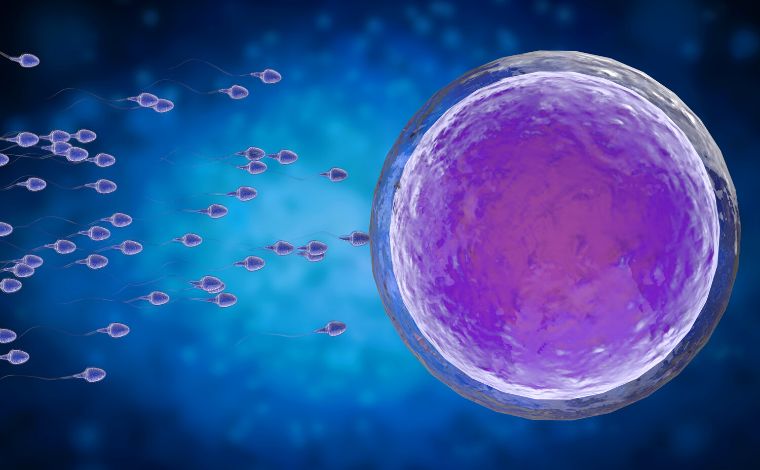 Anticoncepcional masculino: cientistas desenvolve pílula capaz de impedir fecundação do óvulo