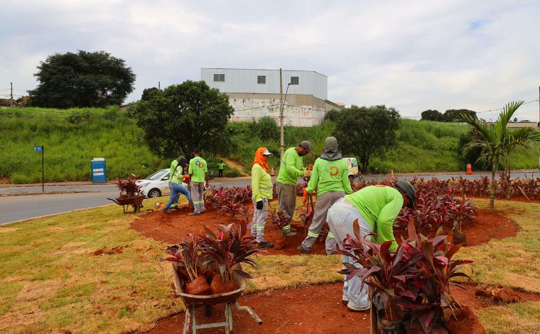 Codesel inicia trabalhos de paisagismo nas obras da Av. Marechal Castelo Branco em Sete Lagoas 