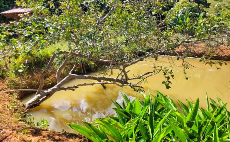 Menino de 8 anos cai de pé de goiaba e morre afogado em tanque de peixes no interior de Minas