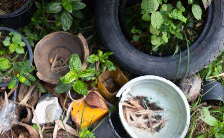 Sete Lagoas promove Dia D de combate à dengue neste sábado (15)