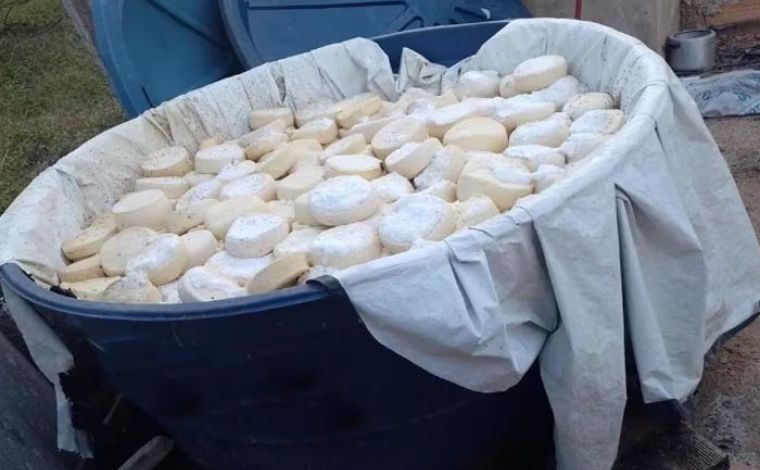 Polícia Militar apreende 11 toneladas de queijo com fezes de rato e larvas em Minas Gerais
