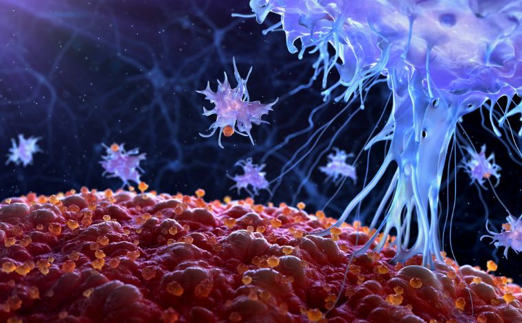 Novas estudos revelam como coronavírus escapa do sistema imunológico