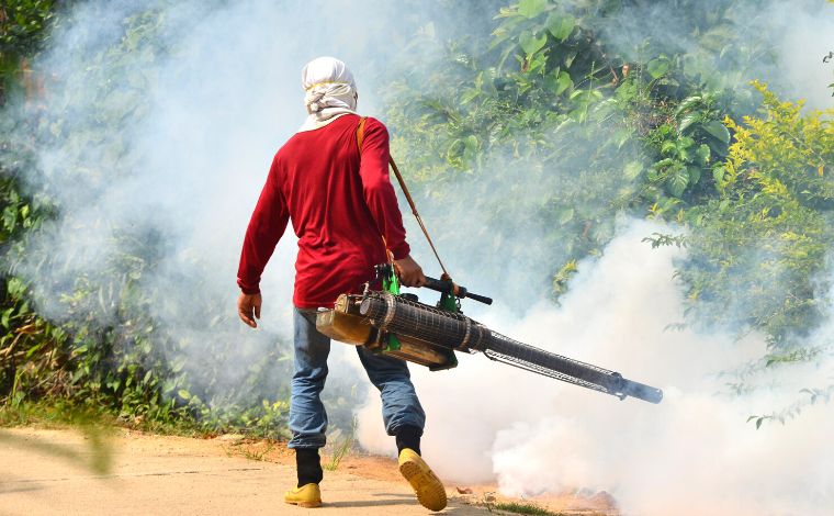 Minas registra aumento de casos de arboviroses e investiga mais de 118 mortes relacionadas à dengue