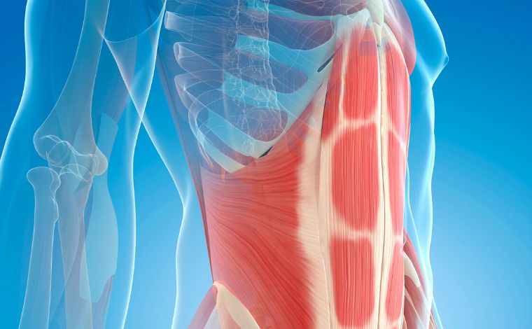 Diástase abdominal: descubra causas, sintomas e procedimentos que podem auxiliar no tratamento  