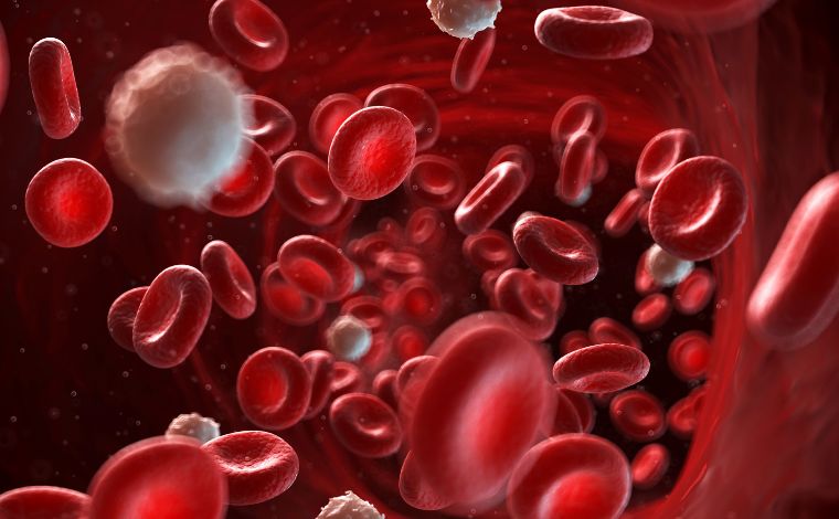 Novo tratamento reduz em até 74% risco de evolução de câncer raro no sangue