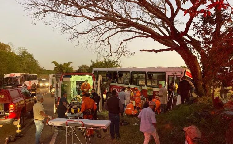Ônibus com trabalhadores colide em árvore e deixa 30 feridos na BR-265, em MG