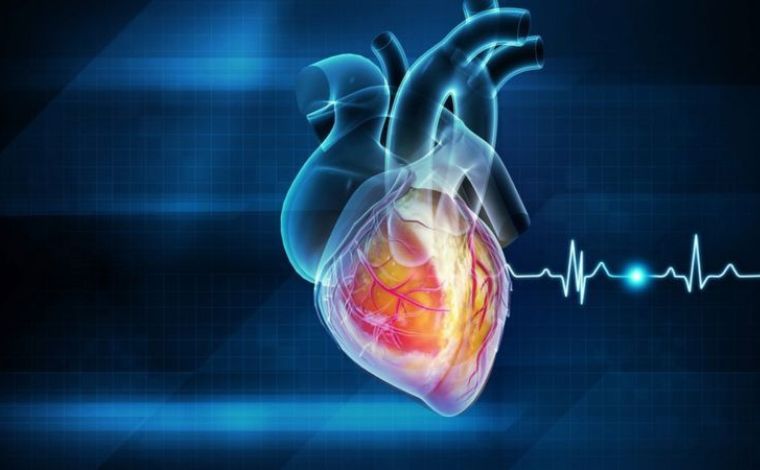 Doença cardíaca: descubra fatores de risco menos conhecidos e como reduzi-los