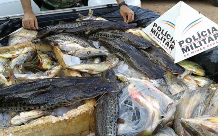 Estado apresenta balanço das ações de fiscalização no período da piracema