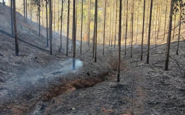 Brigadista morre durante combate a incêndio florestal no interior de Minas Gerais