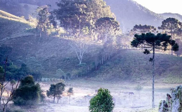 Temperaturas devem despencar até 5 °C em mais de 500 cidades de Minas Gerais; veja lista completa