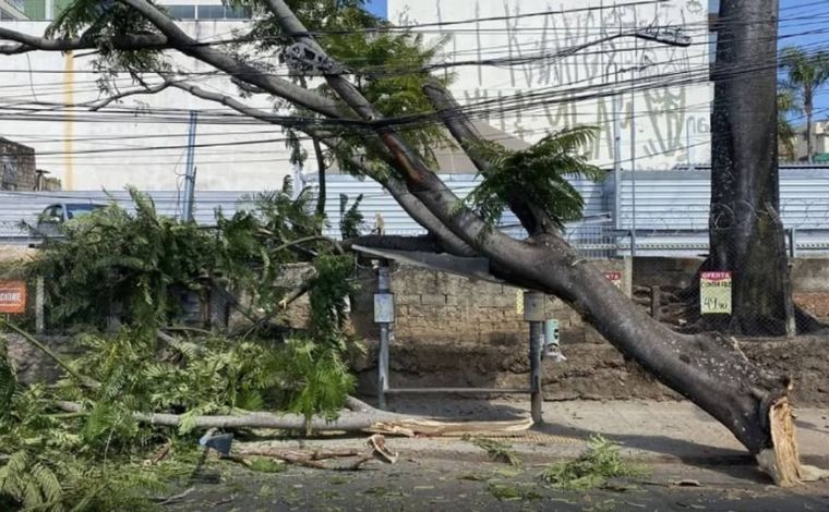 Inmet emite alerta de vendaval para diversas cidades Minas Gerais até a tarde deste sábado (22)