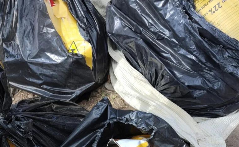 Cães e gato são encontrados mortos em sacos plásticos em Belo Horizonte