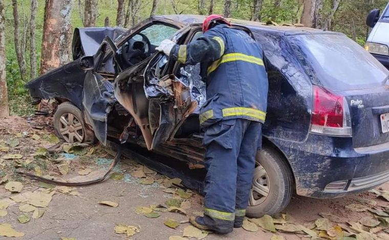Pai, mãe e filha morrem após carro bater em árvore na rodovia MG-446