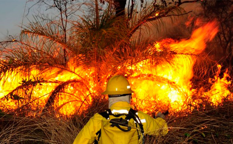 Governo de Minas une forças para evitar incêndios florestais no estado