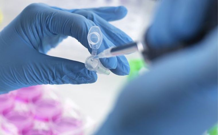 Cientistas criam modelo de embrião humano sem usar espermatozoide ou óvulo