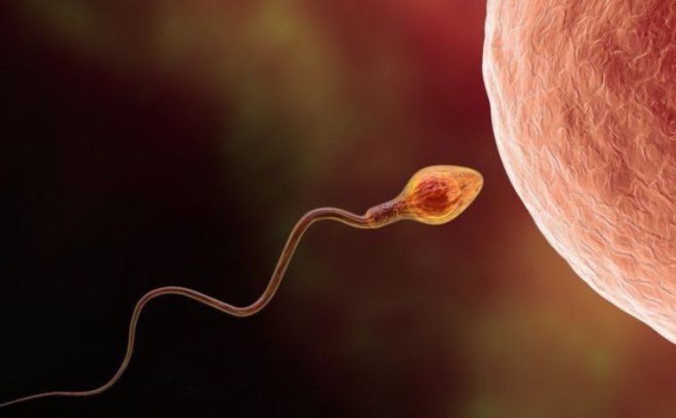 Como inteligência artificial pode ajudar tratar infertilidade masculina