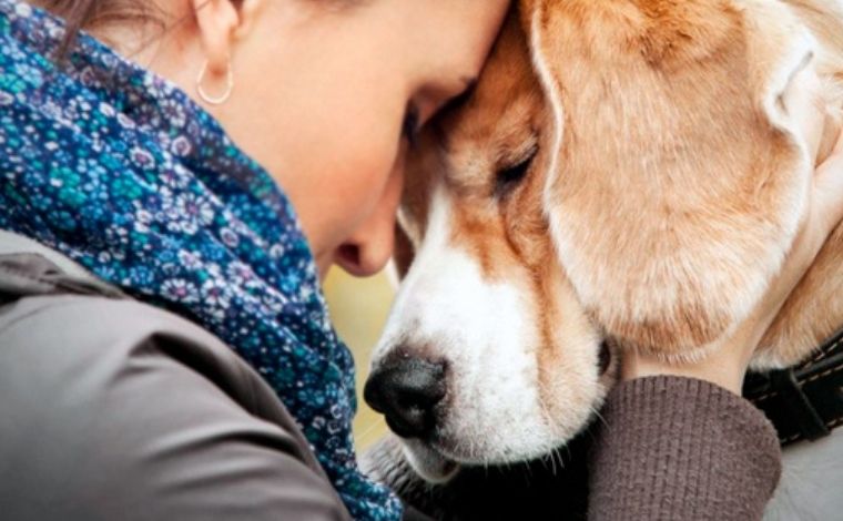 Sete Lagoas garante acesso de pessoas com TEA a ambientes públicos com cães de assistência emocional