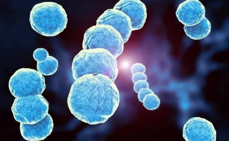 Streptococcus: São João del-Rei confirma mais um caso da doença