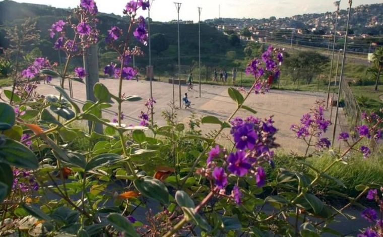 Mulher é estuprada dentro de parque ecológico de Belo Horizonte 